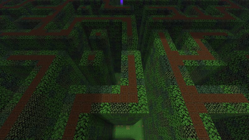Level 84, The Hedge Maze seen from above